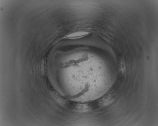 X0000062610519200601111012