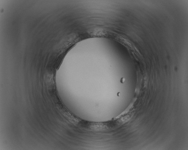 X0000062610521200601111012