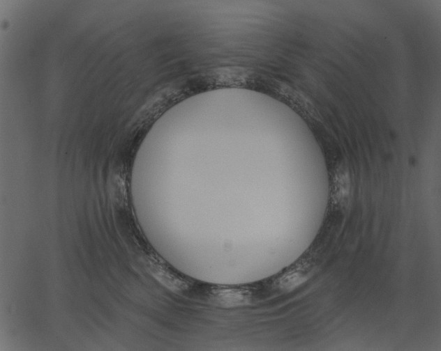 X0000062610522200601111012