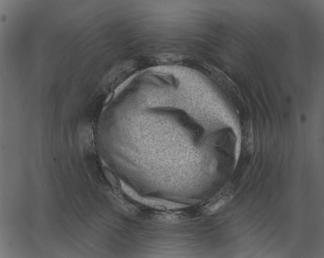 X0000062610523200601111012