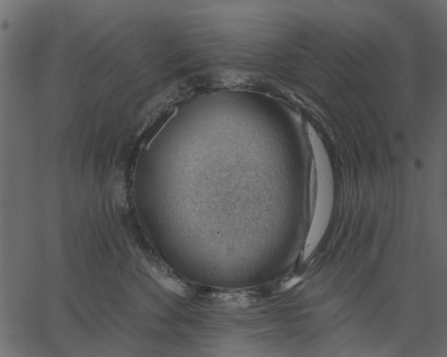 X0000062610524200601111012