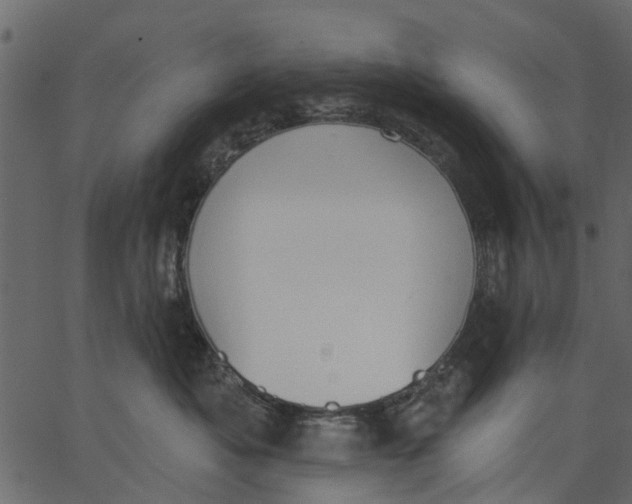 X0000062610525200601111012