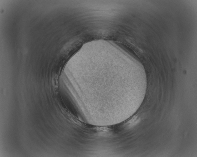 X0000062610528200601111011