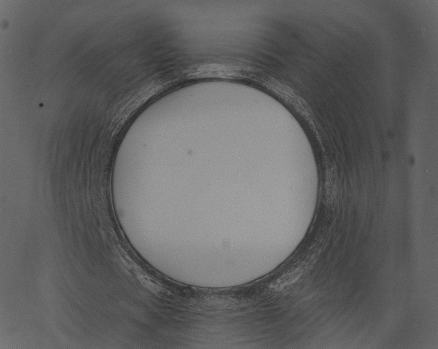 X0000062610529200601111011