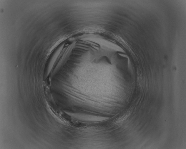 X0000062610530200601111011