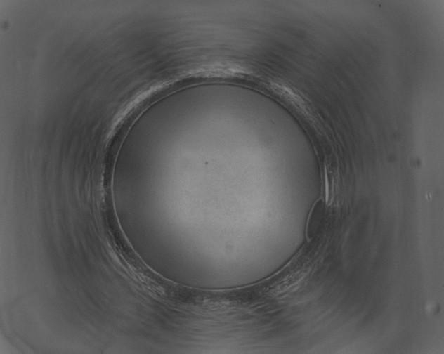 X0000062610531200601111011