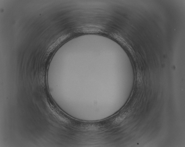 X0000062610533200601111011