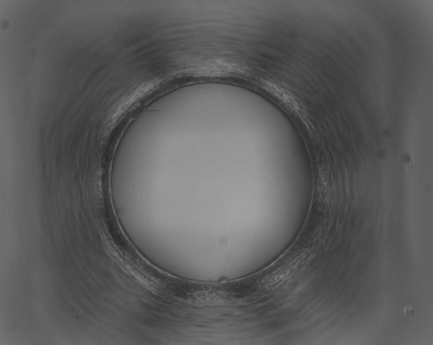 X0000062610535200601111011