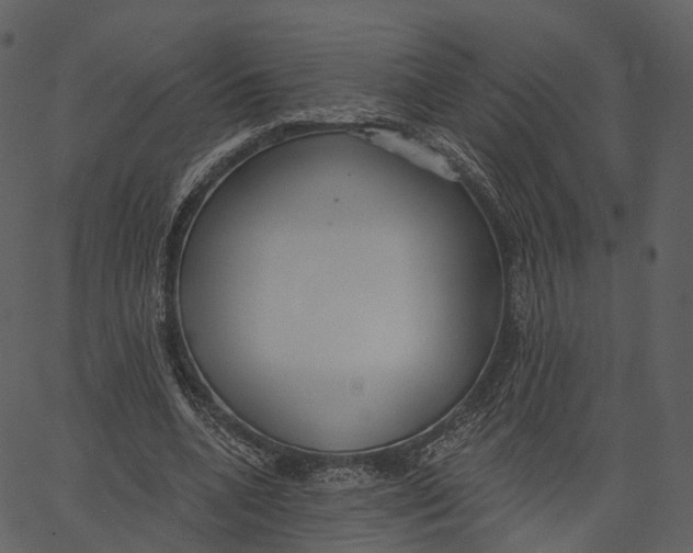 X0000062610536200601111011