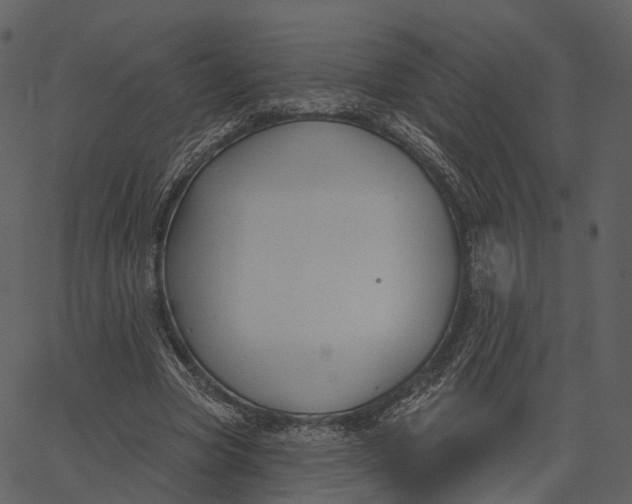 X0000062610537200601111011