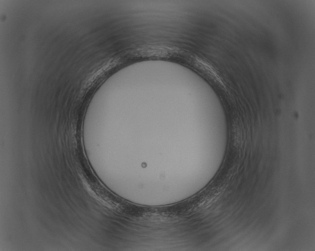 X0000062610538200601111011