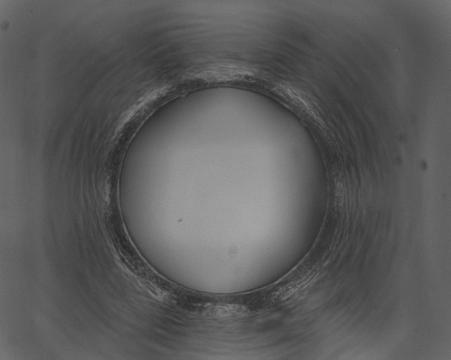 X0000062610539200601111011