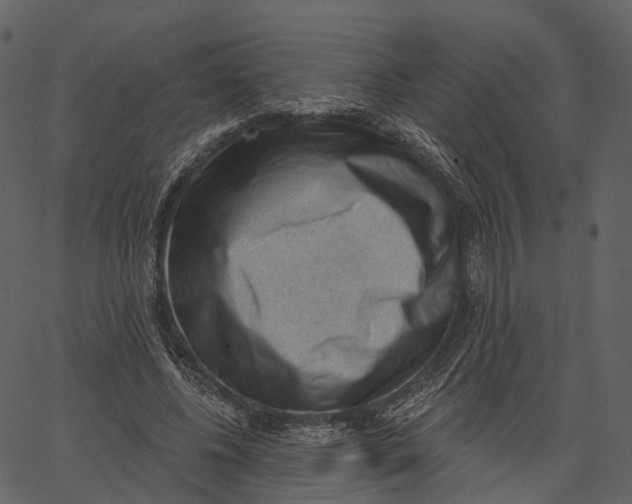 X0000062610540200601111011