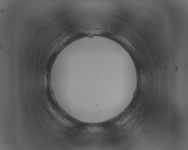 X0000062610541200601111011