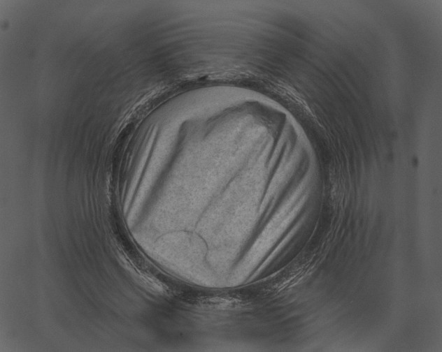 X0000062610542200601111011