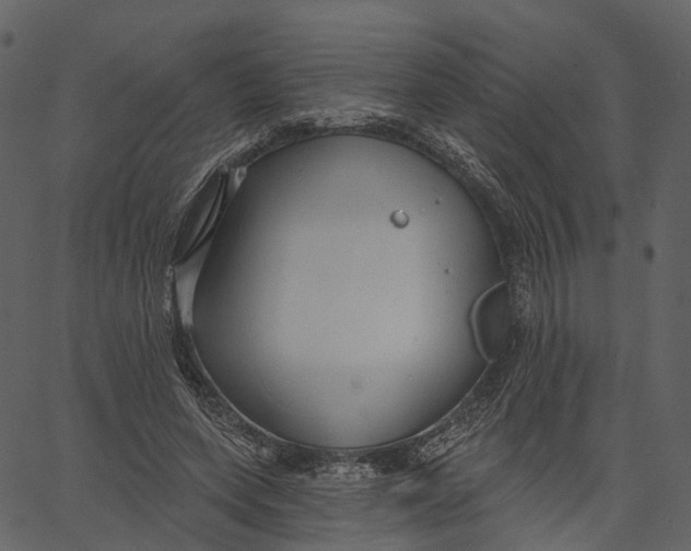 X0000062610543200601111011