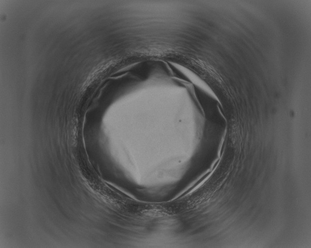 X0000062610544200601111011