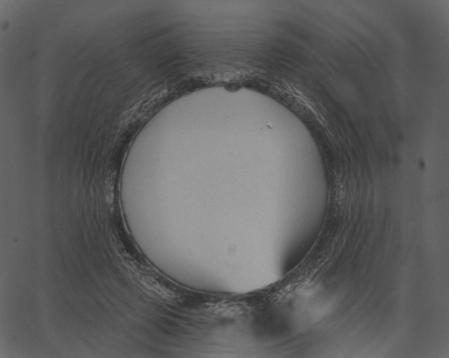 X0000062610545200601111011