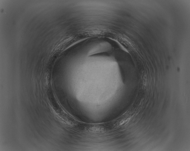 X0000062610546200601111011