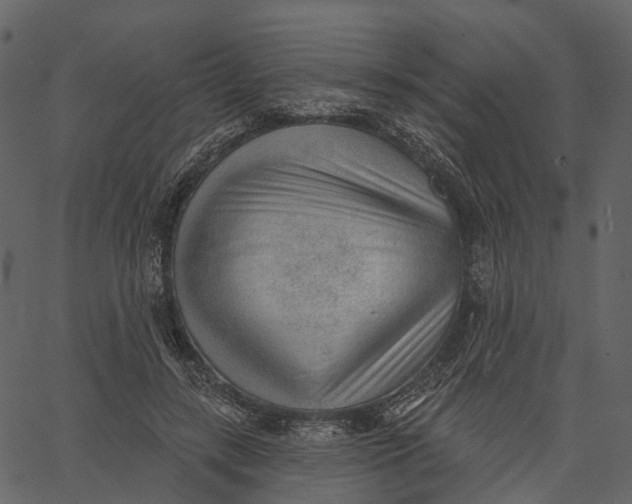 X0000062610547200601111011