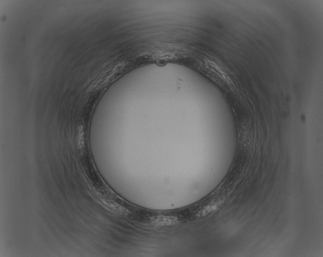 X0000062610549200601111011