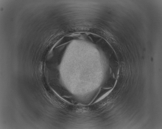 X0000062610550200601111011