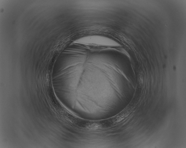 X0000062610551200601111011