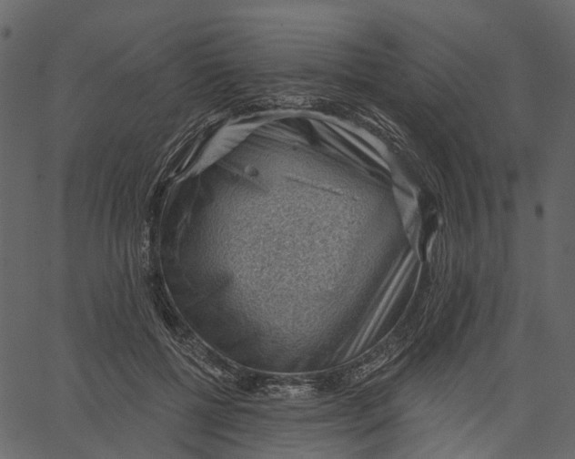 X0000062610552200601111011