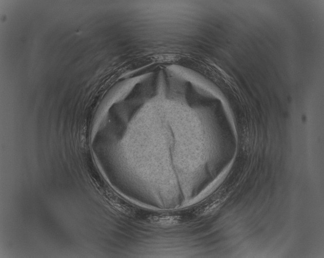 X0000062610553200601111011