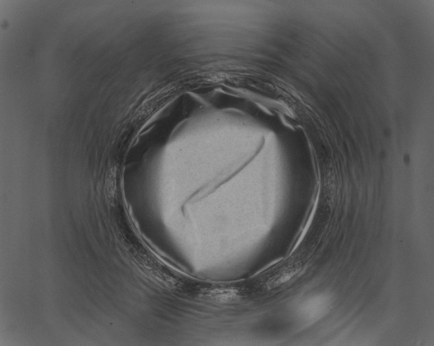 X0000062610554200601111011