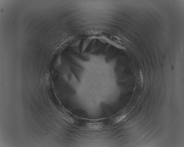 X0000062610556200601111011