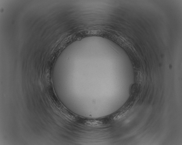 X0000062610557200601111011