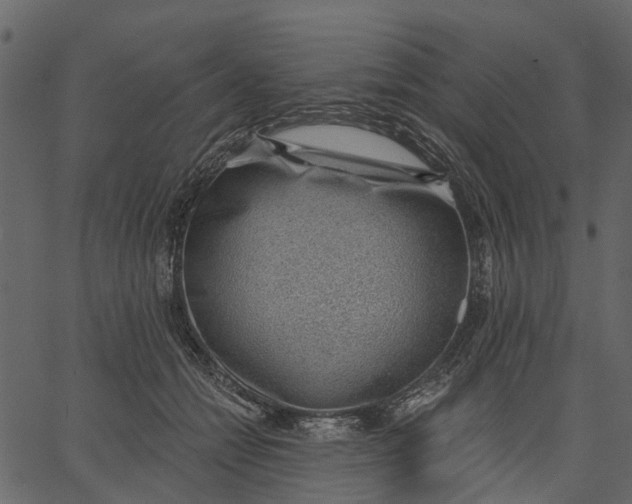 X0000062610558200601111011