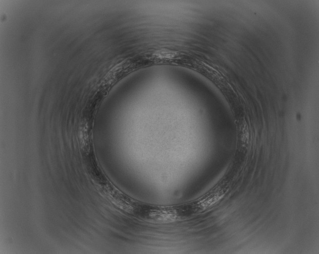 X0000062610559200601111011