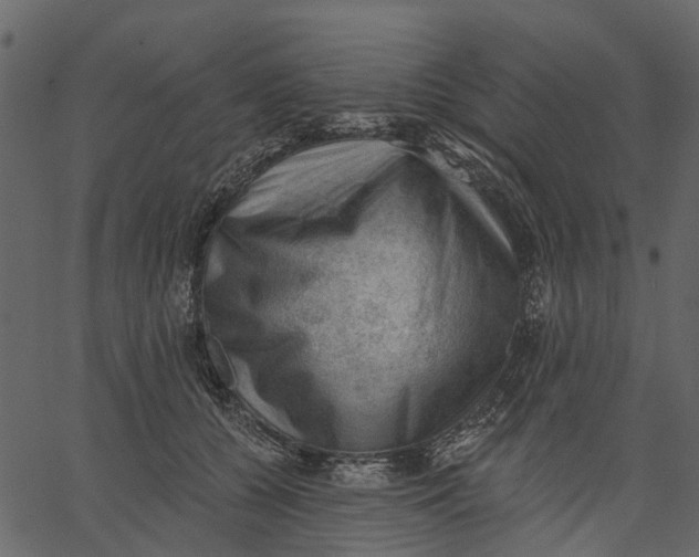 X0000062610560200601111011