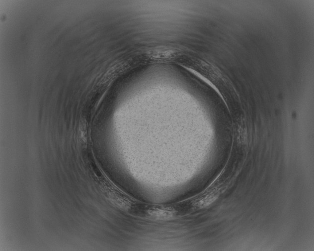 X0000062610561200601111011