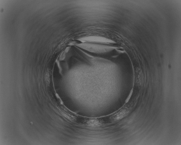 X0000062610562200601111011