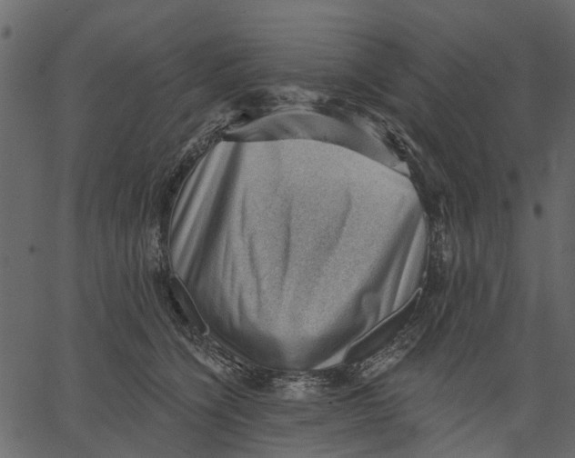 X0000062610564200601111011