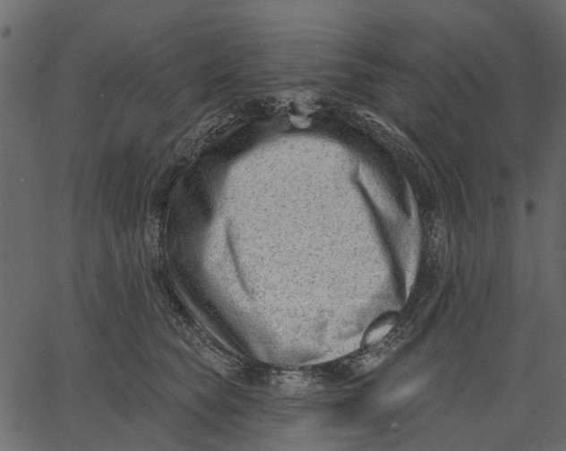 X0000062610565200601111011