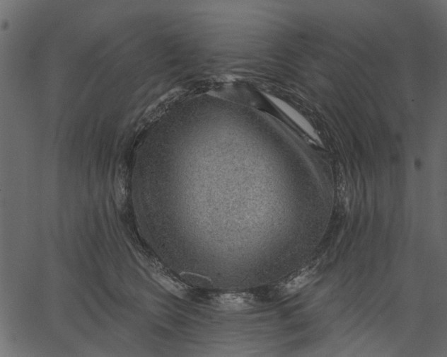 X0000062610566200601111011