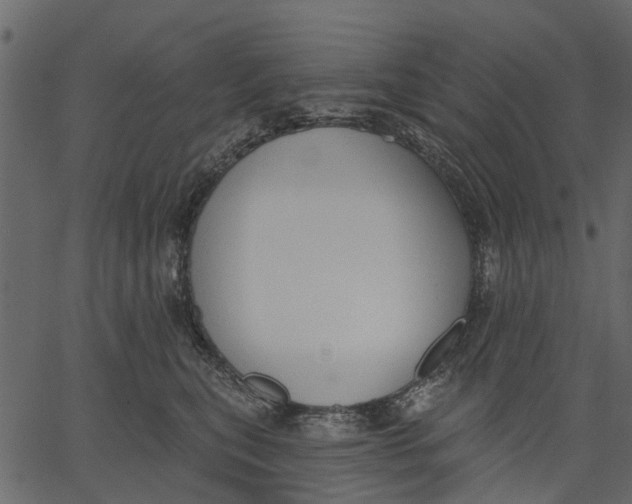 X0000062610567200601111011