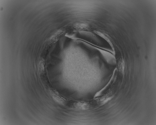 X0000062610570200601111011