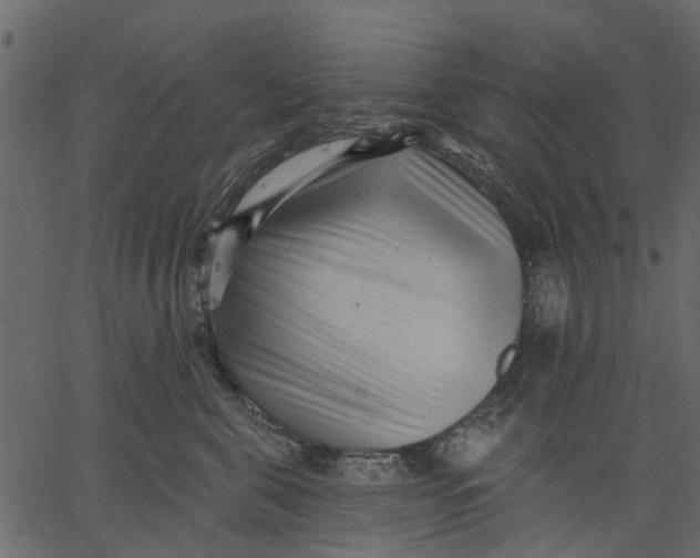 X0000062610571200601111011