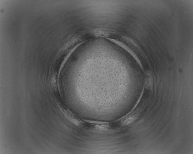 X0000062610573200601111011