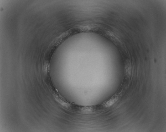 X0000062610574200601111011