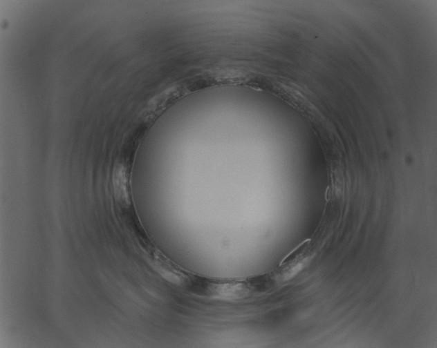 X0000062610575200601111011