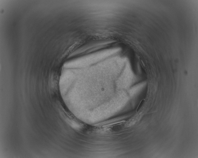 X0000062610576200601111011