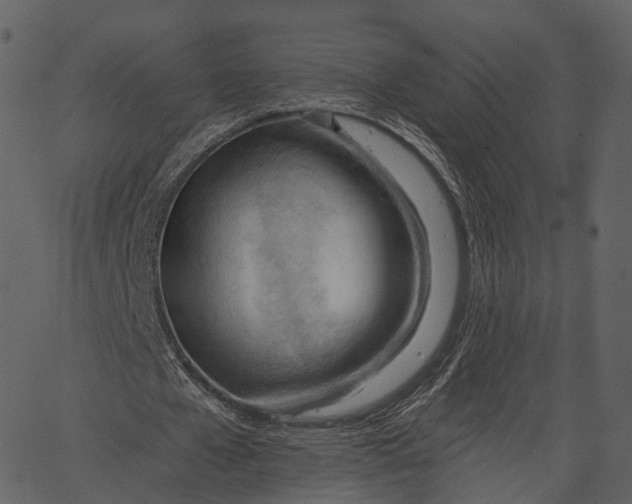 X0000062610577200601111011