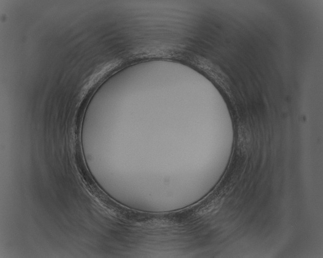 X0000062610578200601111011