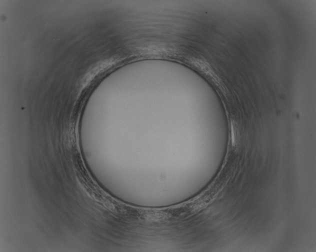 X0000062610579200601111011